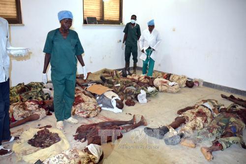 Đánh bom đẫm máu liên tiếp ở Cộng hòa Chad và Nigeria